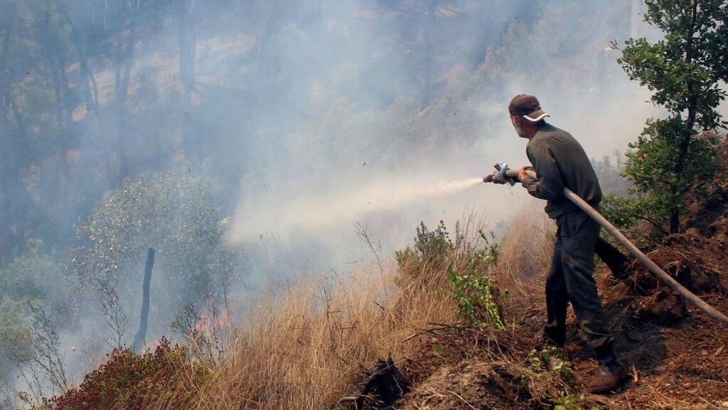  A firefighter attempts to extinguish a wildfire, in the northern countryside of Latakia, Syria 