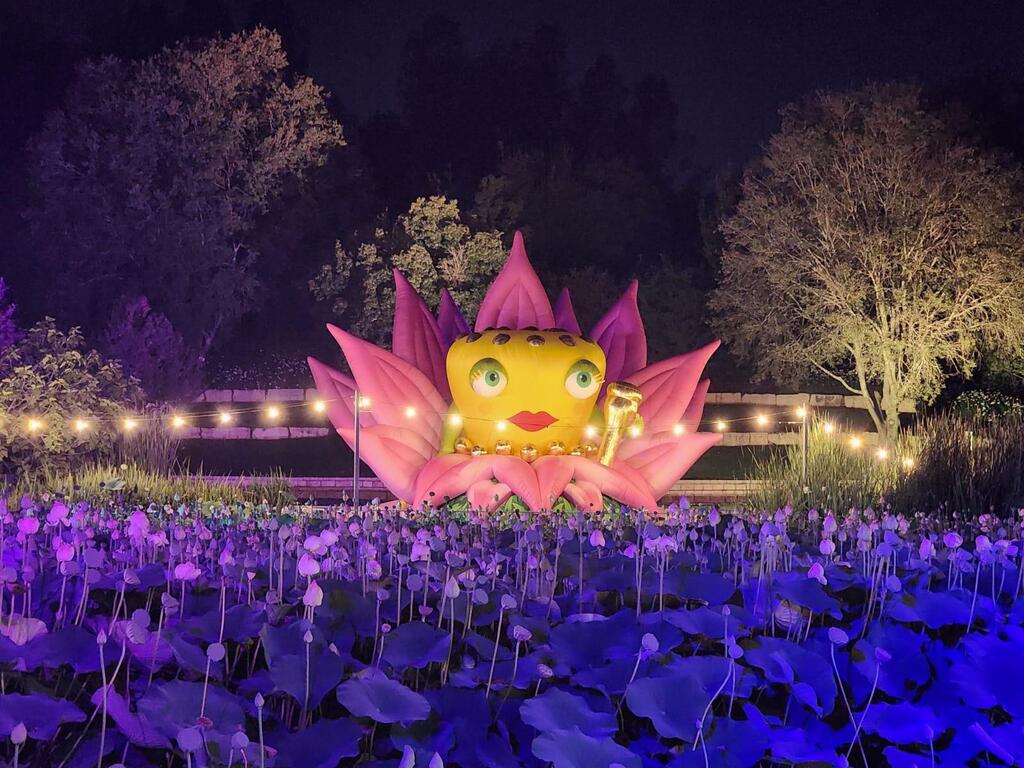 תאורה, לדים, סאונד ואפקטים מיוחדים (מתוך תערוכת "בוטניפלצת") לקידום מסחרי - הגן הבוטני