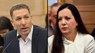 הועדה המיוחדת לדיון בהצעת חוק לתיקון פקודת המשטרה, טלי גוטליב