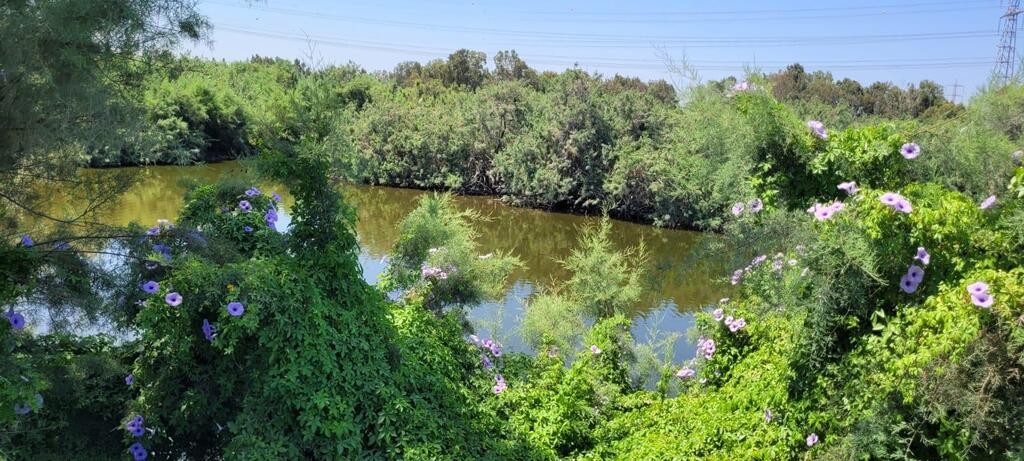 שמורת טבע ביצת זיתא (צילום: יריב מליחי) שמורת טבע ביצת זיתא