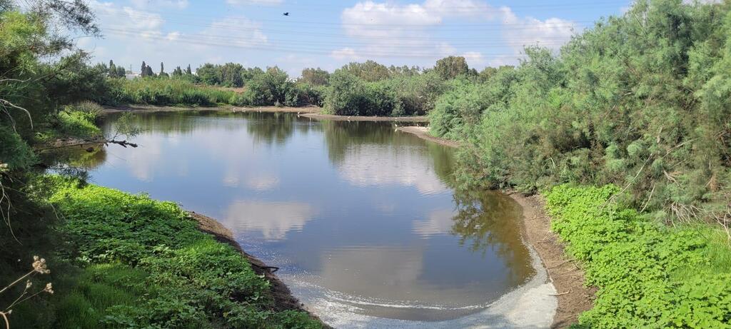 שמורת טבע ביצת זיתא (צילום: יריב מליחי) שמורת טבע ביצת זיתא