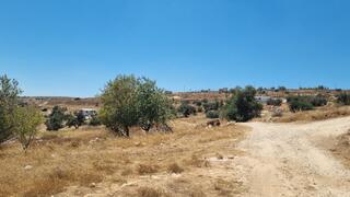 דרך מאחז עוז ציון