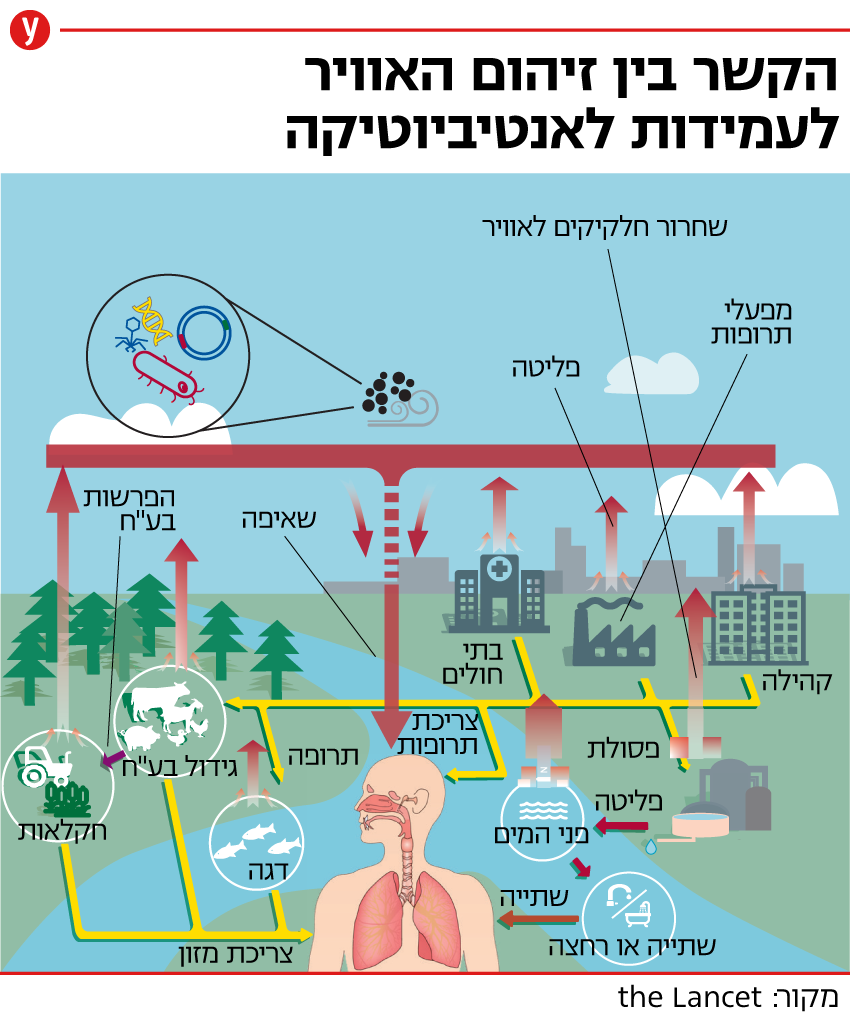 זיהום אוויר אינפו