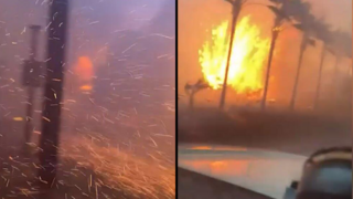 השריפה בהוואי