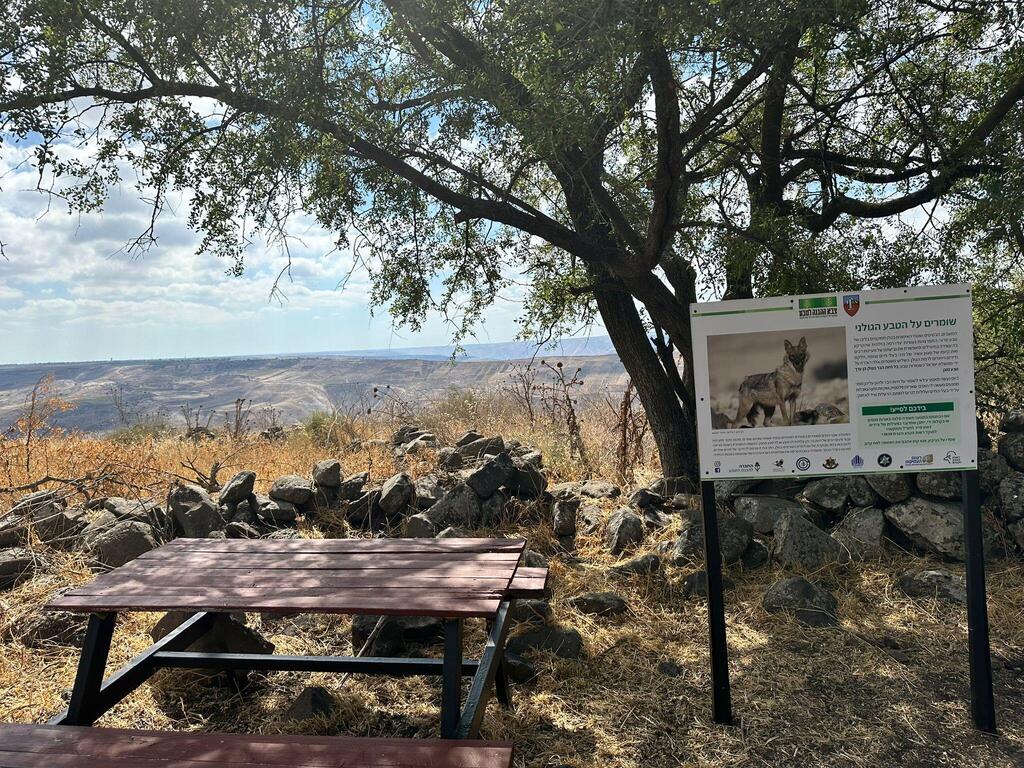 Picnic tables and guidance signs at the site (Photo: IDF Spokesperson Unit) שולחן פיקניק ושלט הסבר בנקודת התצפית