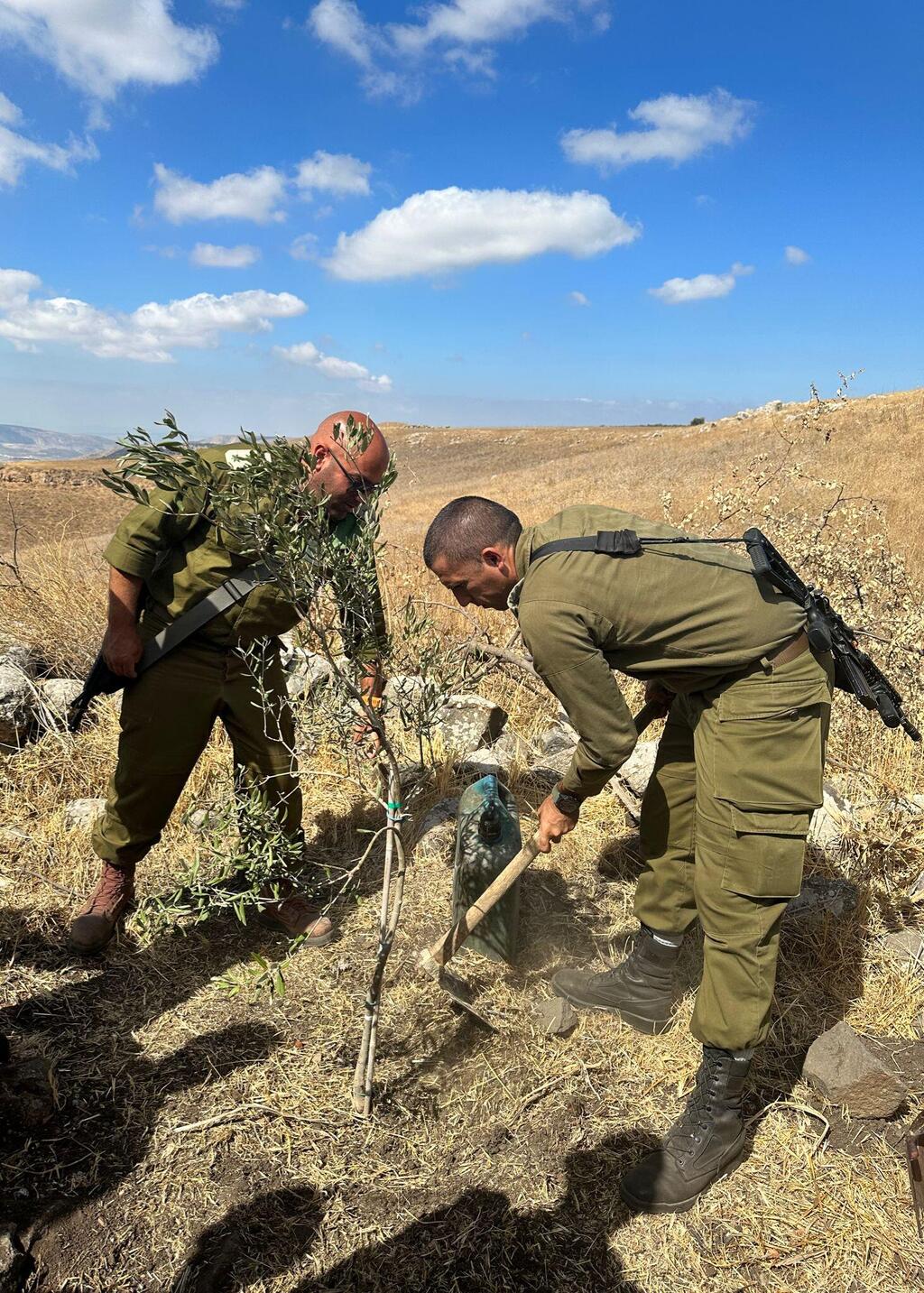 Planting an olive tree (Photo: IDF spokesperson unit) מפקד החטיבה אל"מ אחסאן דקסן נוטע עץ זית בנקודת התצפית