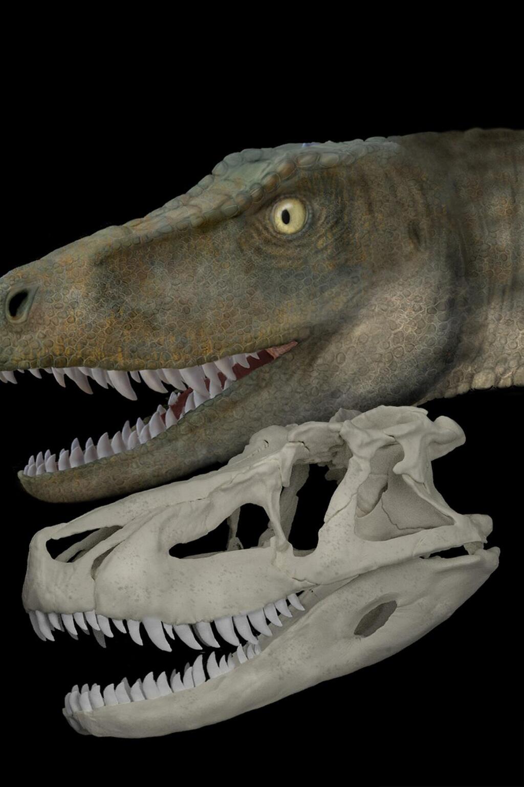 Un estudio descubre que los antiguos reptiles que precedieron a los dinosaurios tenían una mordida más débil