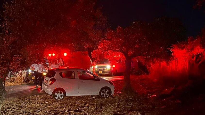 הזירה באבו סנאן