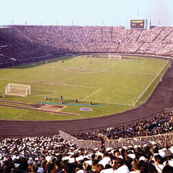 yk13558771