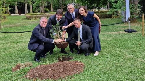 Olive trees shipped from Israel planted in Botanic Garden of Lisbon