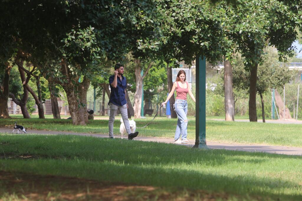ומי זה משתרך מאחור? (צילום: מוטי לבטון) פפראצי לירון ויצמן
