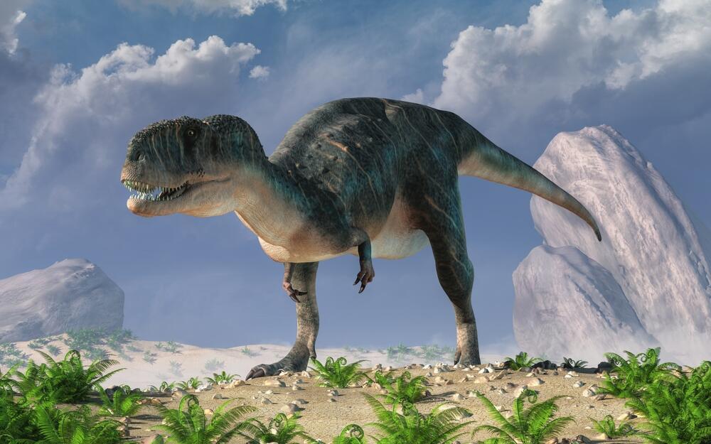 כנניזאורוס