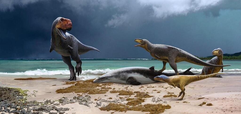 דינוזאורים טורפים ממשפחת האבליזאוריים במרוקו