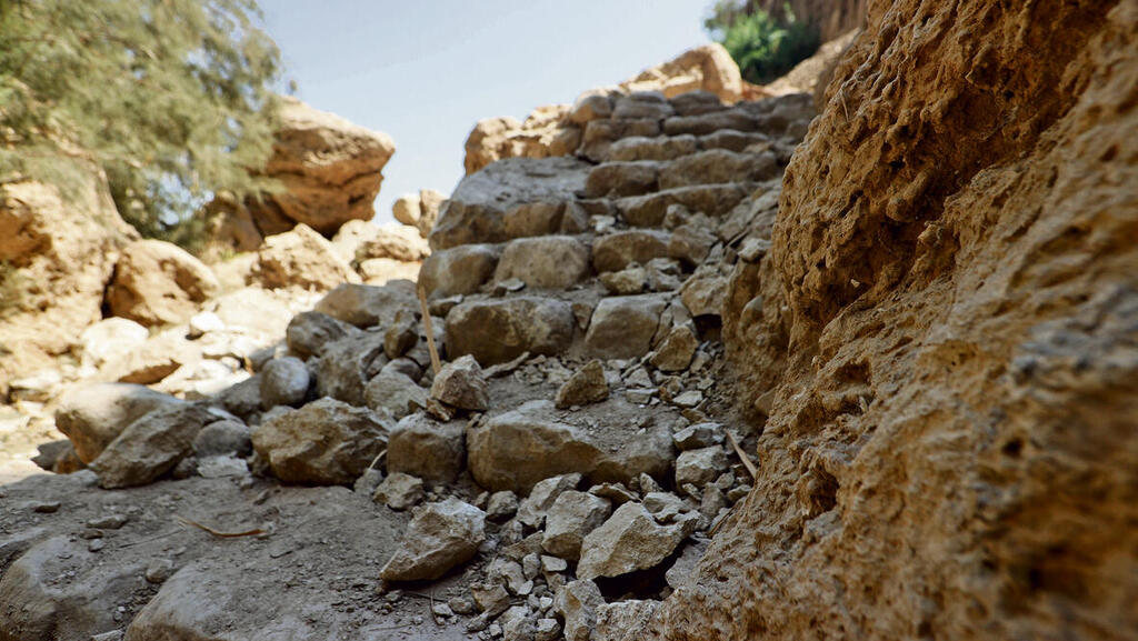 צילום: רועי עידן (רועי עידן) yk13563643