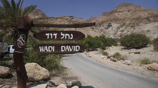 מיקום האירוע בנחל דוד בו התרחשה המפולת