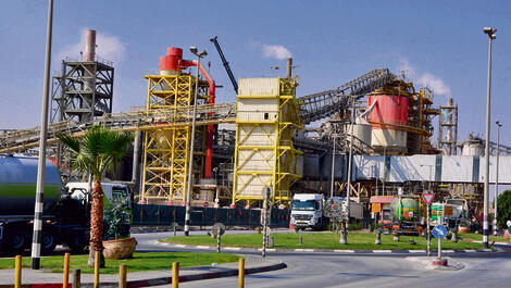 כי"ל־רותם | צילום: הרצל יוסף (הרצל יוסף) yk13564589