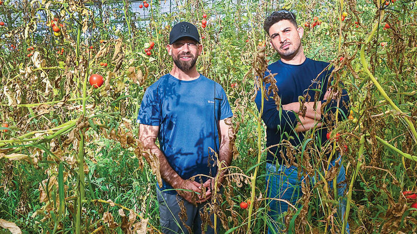 צילום: חיים הורנשטיין yk13564595