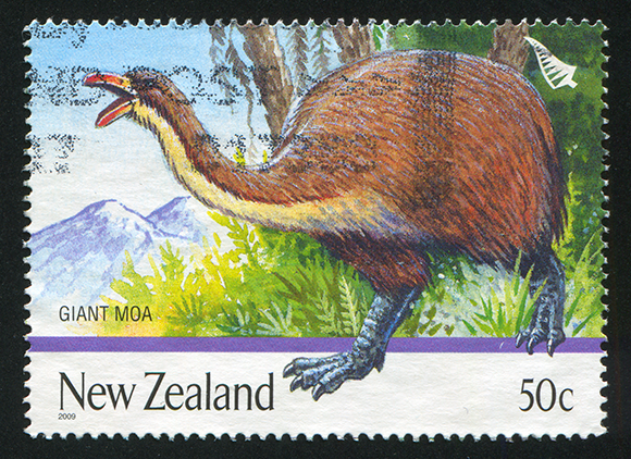 The giant moa, a bird species native to New Zealand, encompassed a group of large, flightless birds that formed a prominent part of New Zealand’s avian fauna until their extinction; Depicted here on a postage stamp, it remains a symbol of  New Zealand's unique natural history 