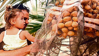 צילום: תם אלדר yk13570767