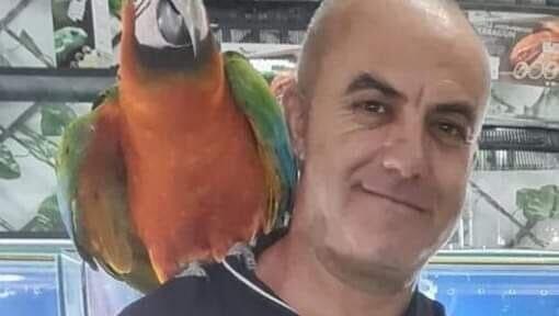 מג'ד טאפש