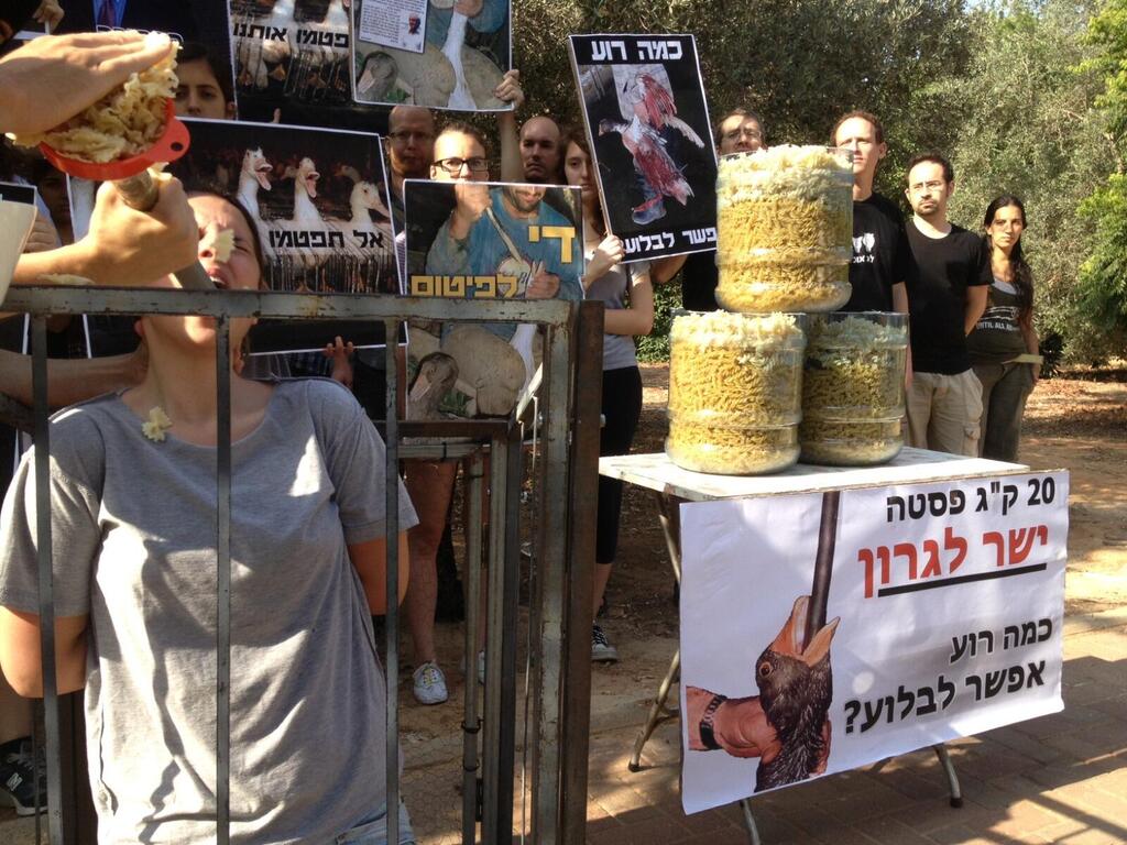 הפגנות נגד פיטום אווזים, ארכיון