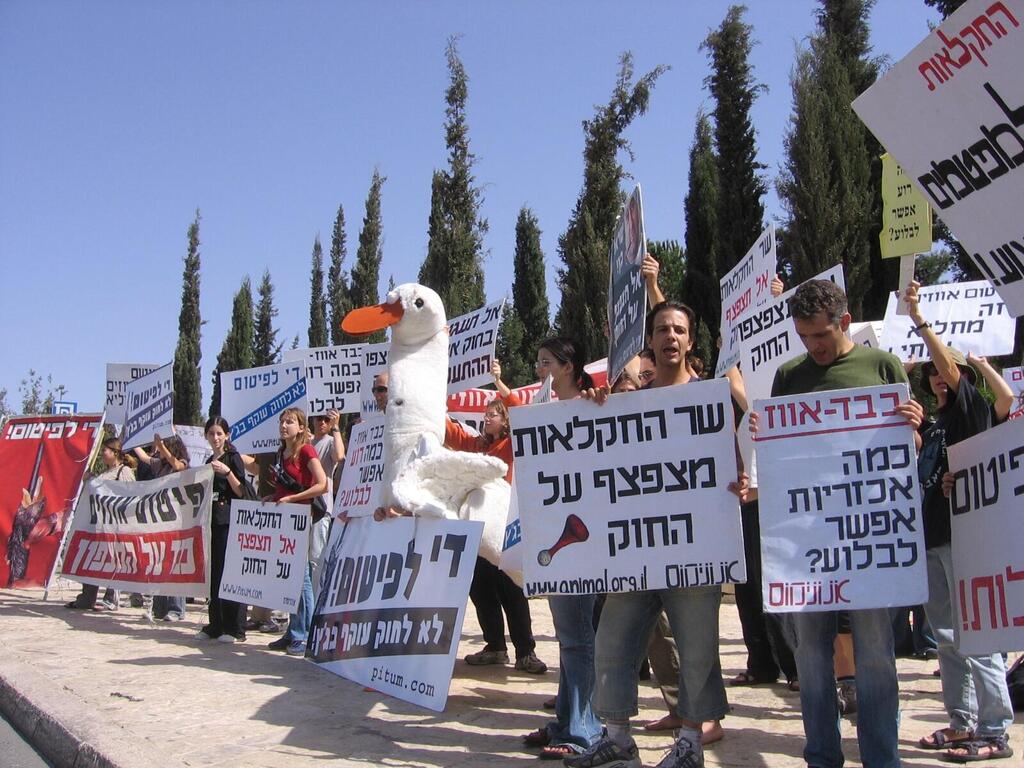 הפגנות נגד פיטום אווזים, ארכיון