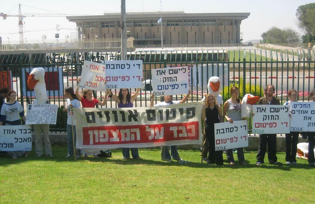 הפגנות נגד פיטום אווזים, ארכיון
