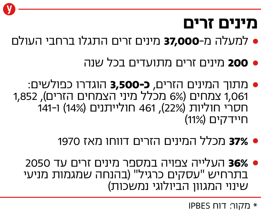מינים זרים (קרדיט: נתונים מתוך הדוח של IPBES) מינים זרים