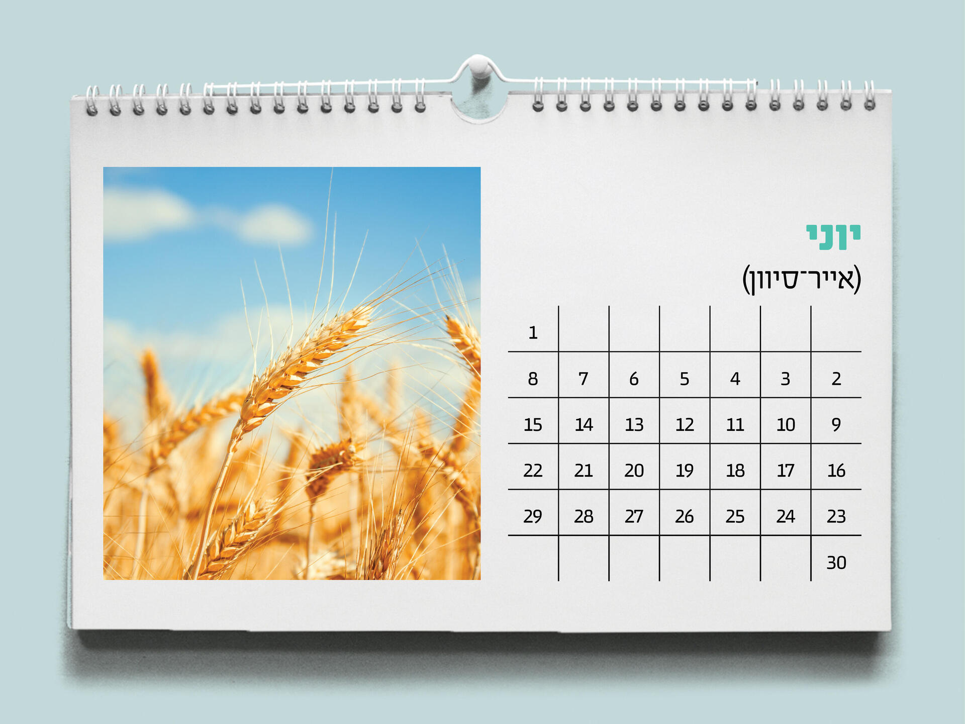 להשאיר את האוטו בבית, לבדוק את תאריך התפוגה על מסנן הקרינה ולהגיד לא