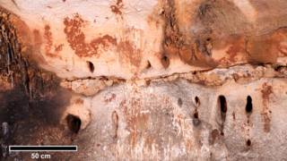 כמה מהאיורים והתחריטים שהתגלו על קירות מערת Cova Dones
