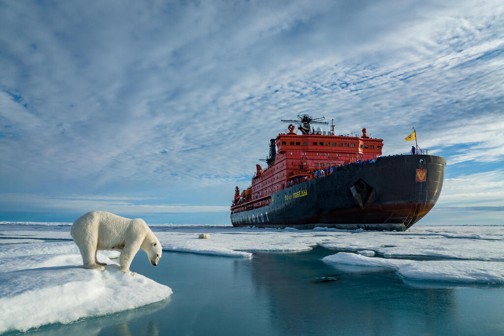 Two different worlds: A polar bear stands on sea ice, while a large expedition ship brings tourists to the area for wildlife encounters.  Arctic Ocean 
