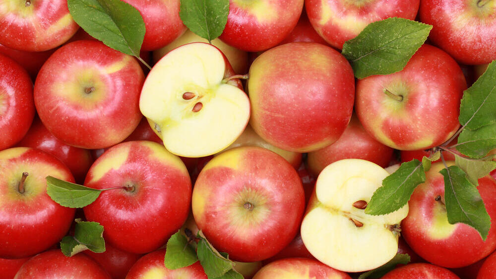 תפוח תפוחים