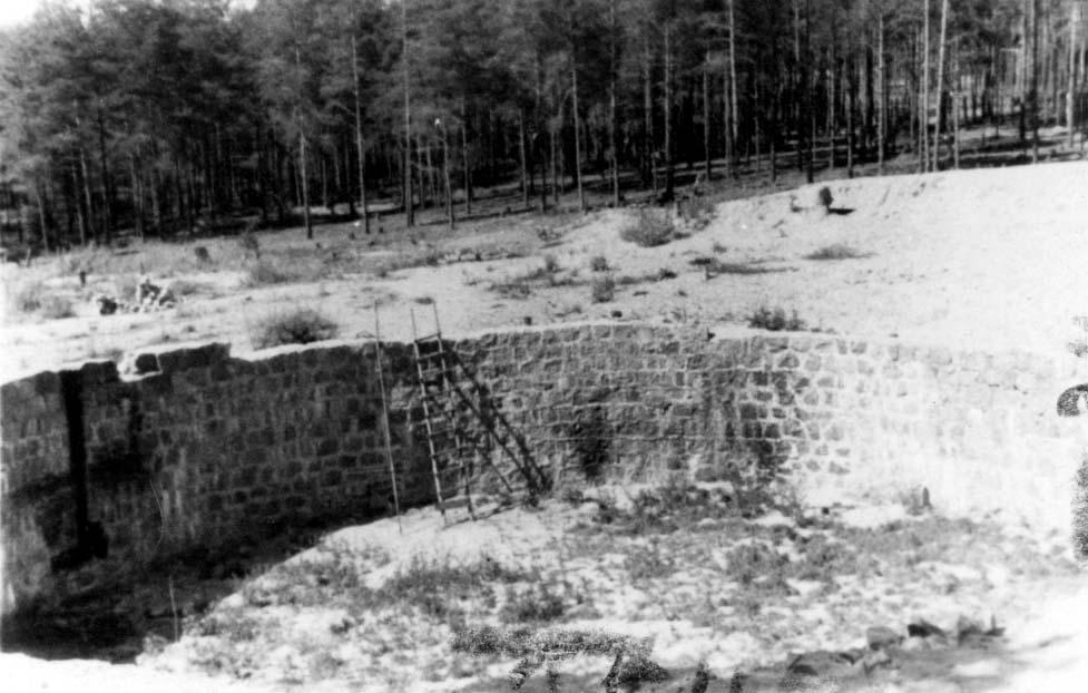 One of the pits at Ponary originally prepared for fuel storage, but which was used for the murder of Jews from Vilna and the surrounding area (Yad Vashem) Ponary massacre evidence