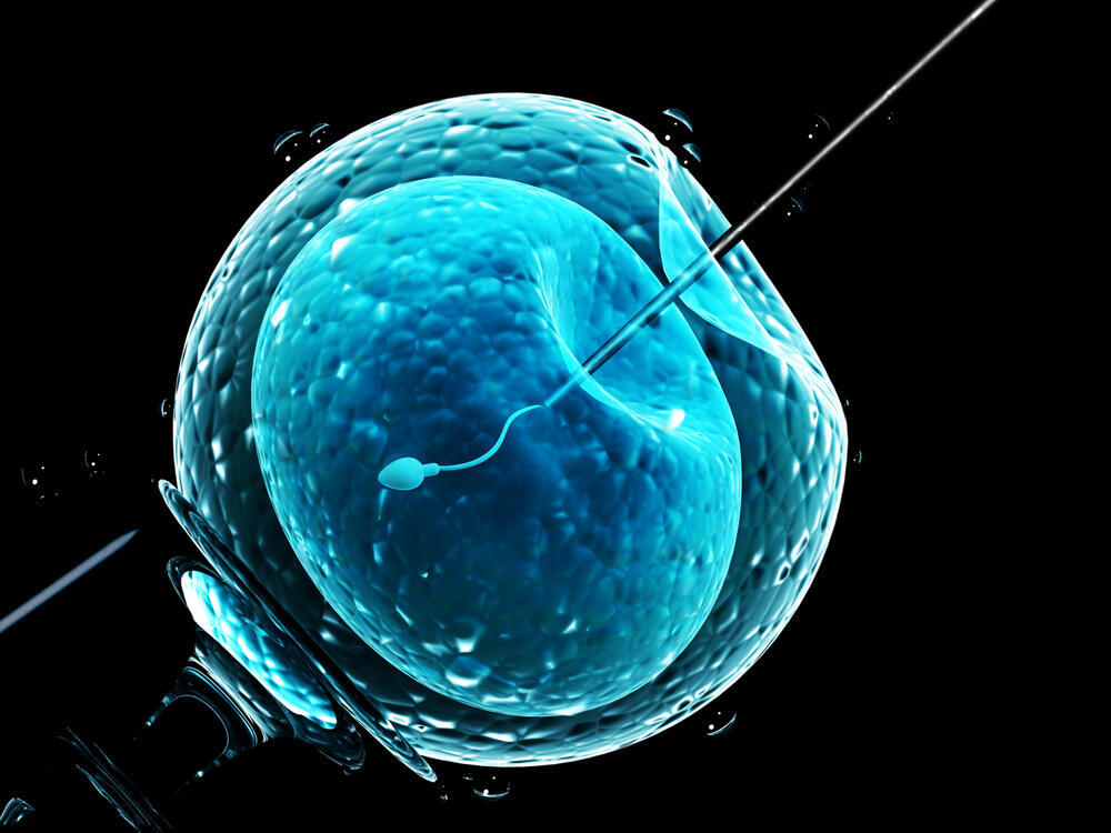 תינוק מבחנה הפריה חוץ-גופית IVF