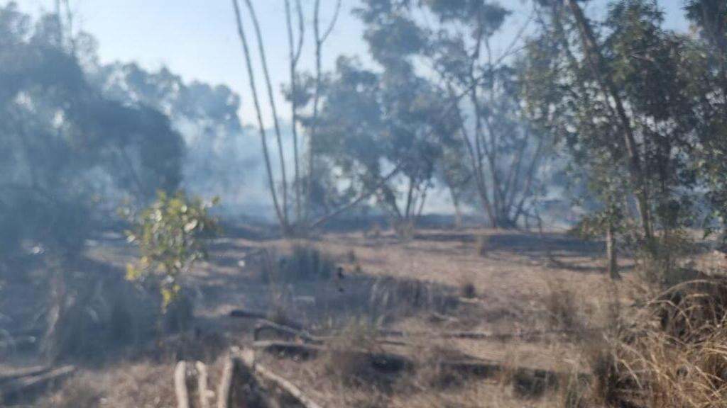 השריפה ביער בארי שריפה ביער בארי מחשש מבלוני תבערה