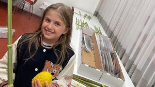 Rosalie van der Linden, 8 years old, builds a sukkah in Scheveningen (The Hague) The Netherlands