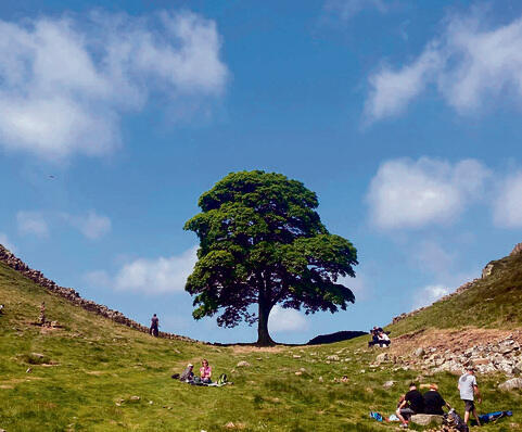 צילום: אי־אף־פי, SCARFF OLI yk13611838