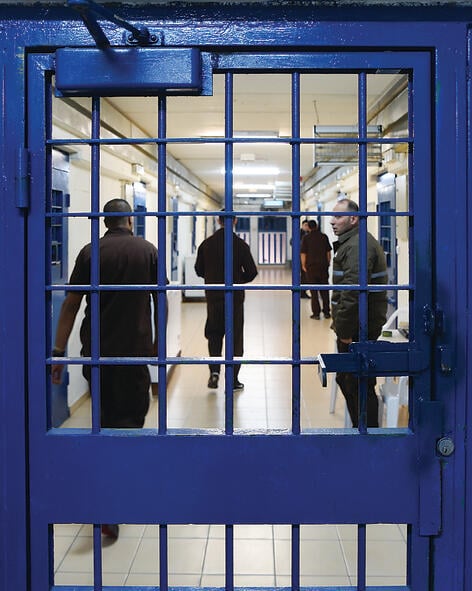 צילום: חיים הורנשטיין yk13613938