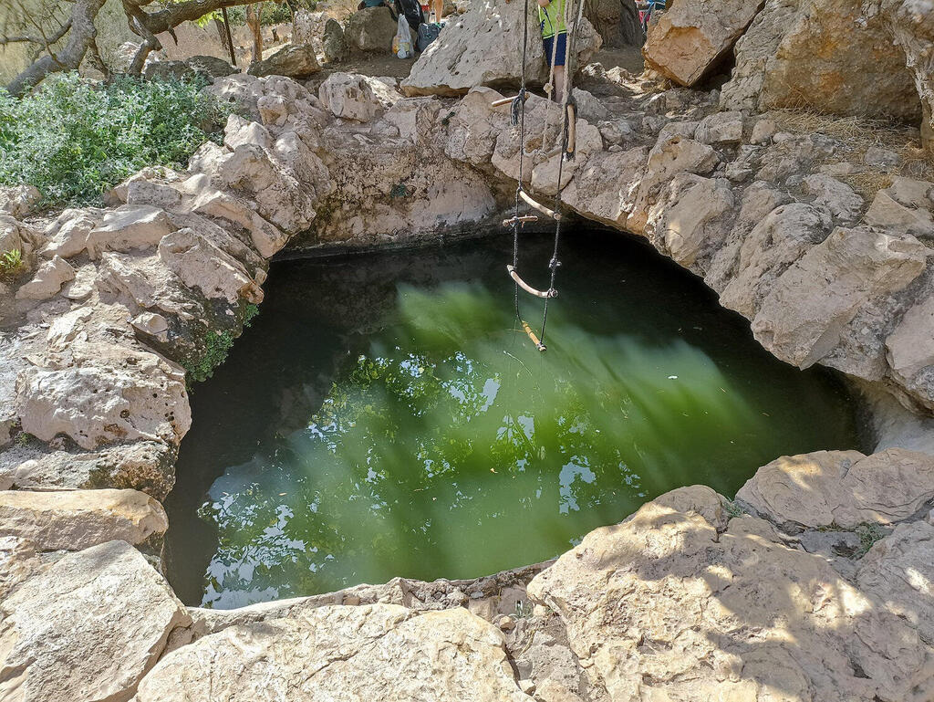 עין נקופה תחת עץ תות 