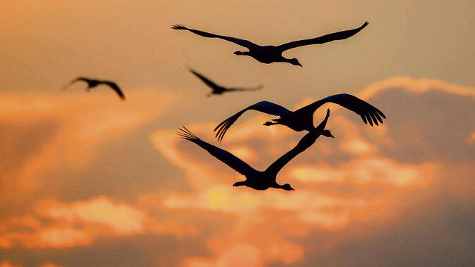 צילום: עינבר שלומית רובין yk13615260