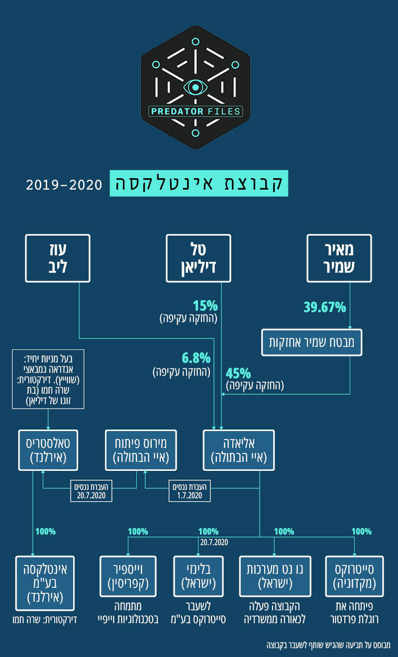 עץ חברה אינטלקסה