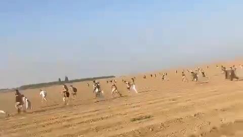 בריחה המונית ממסיבת טבע