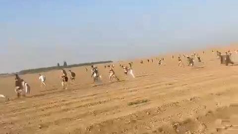 הבריחה ההמונית בריחה המונית ממסיבת טבע