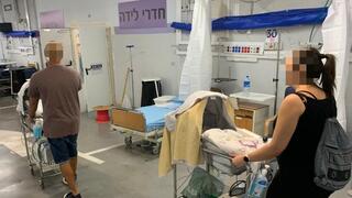 בית חולים ספרא העביר את הפגייה למתחם ממוגן