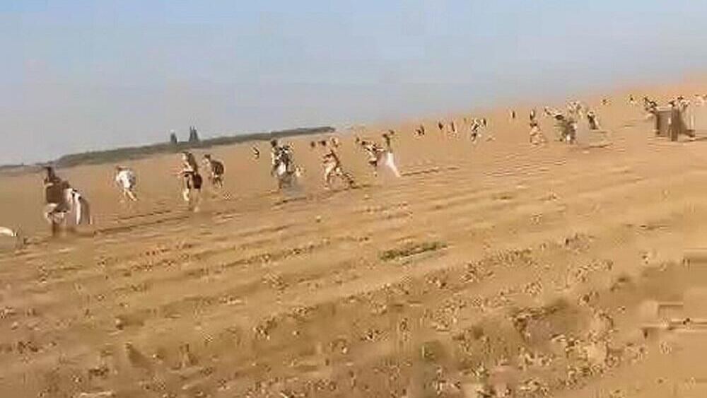 ''I found the horror of God there. A real massacre''. People escape from the party of nature (photo: from social networks) People escape from nature's party