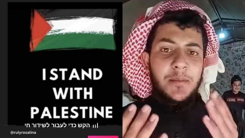 פוסטים פרו-פלסטיניים בטיקטוק