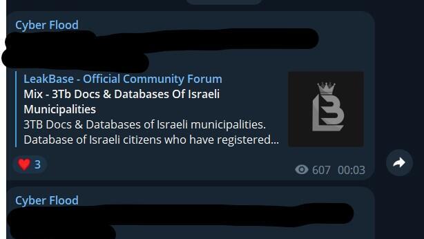 Pro-Palestinian hackers say they have leaked the personal information of Israeli citizens (Screenshot: Telegram) מתקפת תודעה על ידי האקרים פרו-פלסטינים