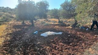 שני צעירים יהודים נפצעו קל ו קשה סמוך לצומת רימונים 