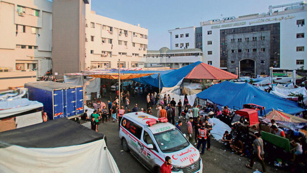 צילום: BASHAR TALEB, אי־אף־פי yk13664205