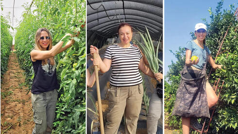 חקלאיות לרגע. עתונאיות "לאשה" נועה לביא (מימין), דינה חלוץ ויפעת מנהרדט
